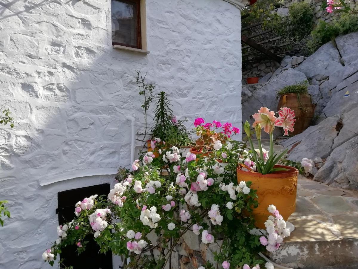Villa Arbeli House Mandraki  Esterno foto